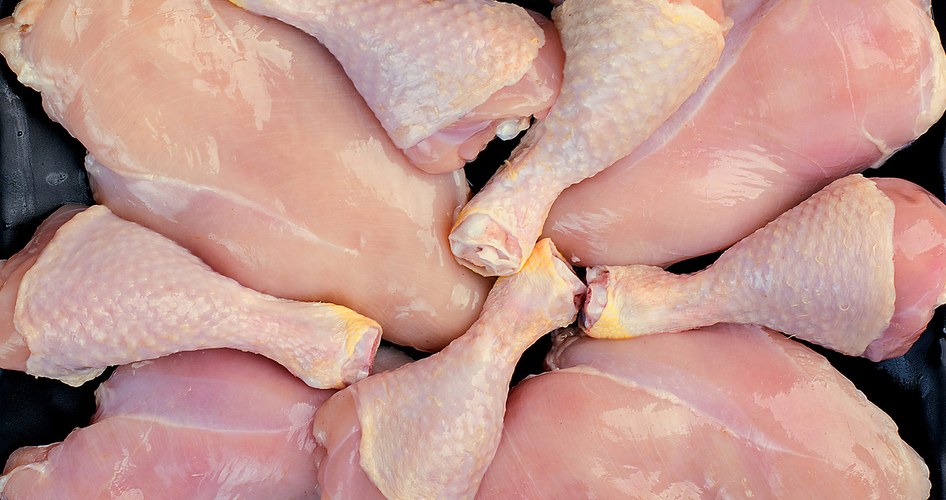 slide-pollos-crudos